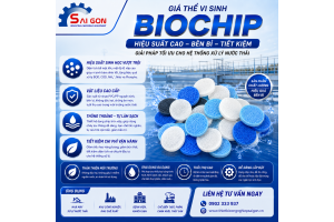 giá thể vi sinh biochip