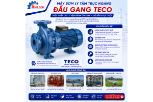 Máy bơm ly tâm đầu gang Teco