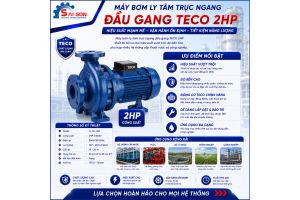 Máy bơm ly tâm đầu gang Teco 2HP