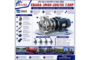 Máy bơm ly tâm đầu inox Ebara 3M40-200/5.5 7.5HP