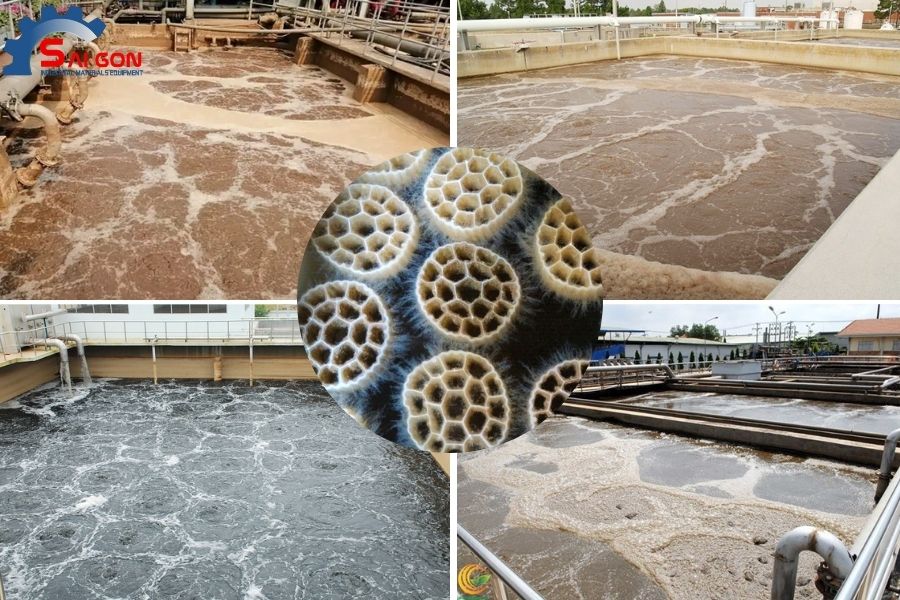 Ứng dụng xử l&yacute; nước thải bằng gi&aacute; thể vi sinh