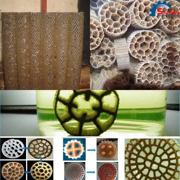 Sự cố gi&aacute; thể vi sinh bị vỡ/kh&ocirc;ng d&iacute;nh b&aacute;m