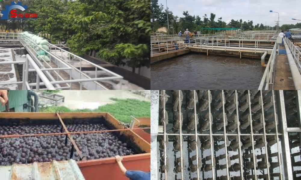 Ứng dụng của gi&aacute; thể vi sinh tại Bắc Ninh