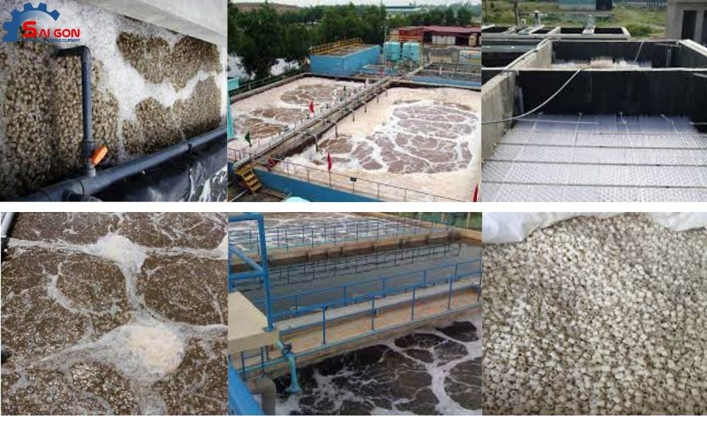 Ứng dụng của gi&aacute; thể vi sinh tại Hưng Y&ecirc;n