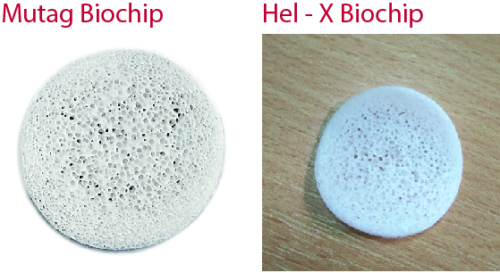 So sánh giá thể vi sinh mutag biochip và hel - x biochip sẽ giúp bạn chọn được loại phù hợp