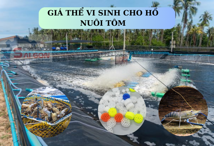 Gi&aacute; thể vi sinh cho hồ nu&ocirc;i t&ocirc;m