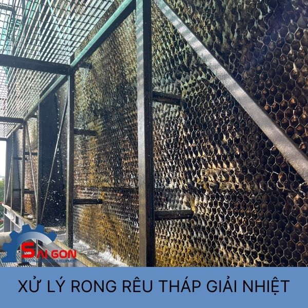 Xử l&yacute; rong r&ecirc;u trong th&aacute;p giải nhiệt